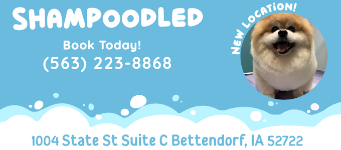 Shampoodled — Book today! (563) 223-8868. New location: 1004 State St Suite C, Bettendorf, IA 52722